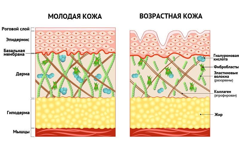by-cosmetics