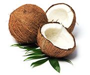 by-cosmetics Coconut