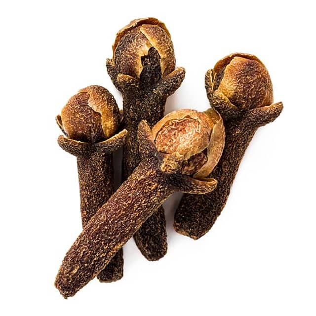 clove_bud9
