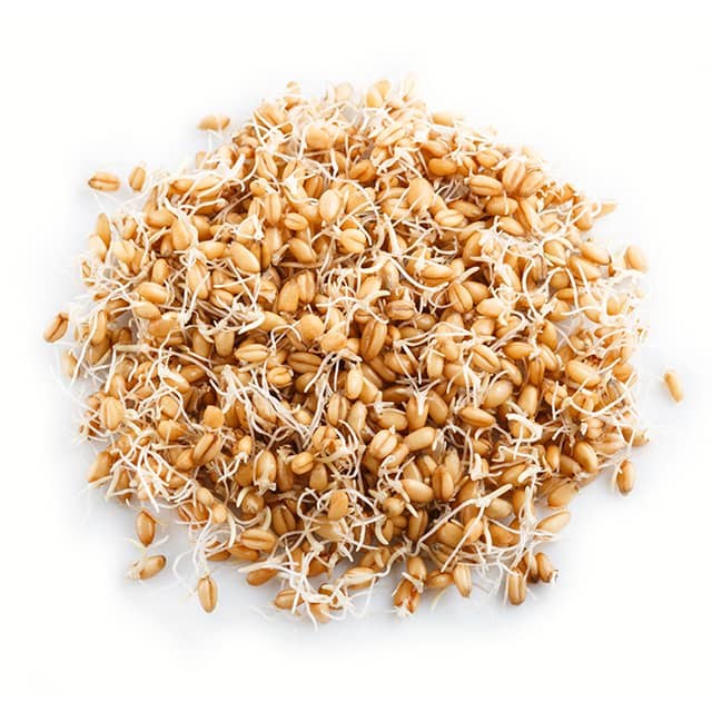 wheat_germ